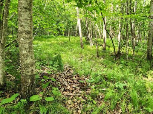 6565 Lynch Bridge Road, Siren, WI 54872