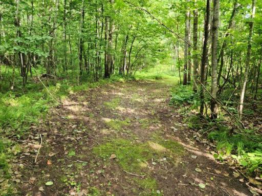 6565 Lynch Bridge Road, Siren, WI 54872