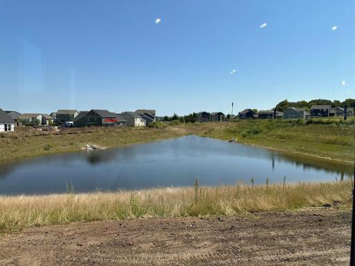 Backyard Pond View