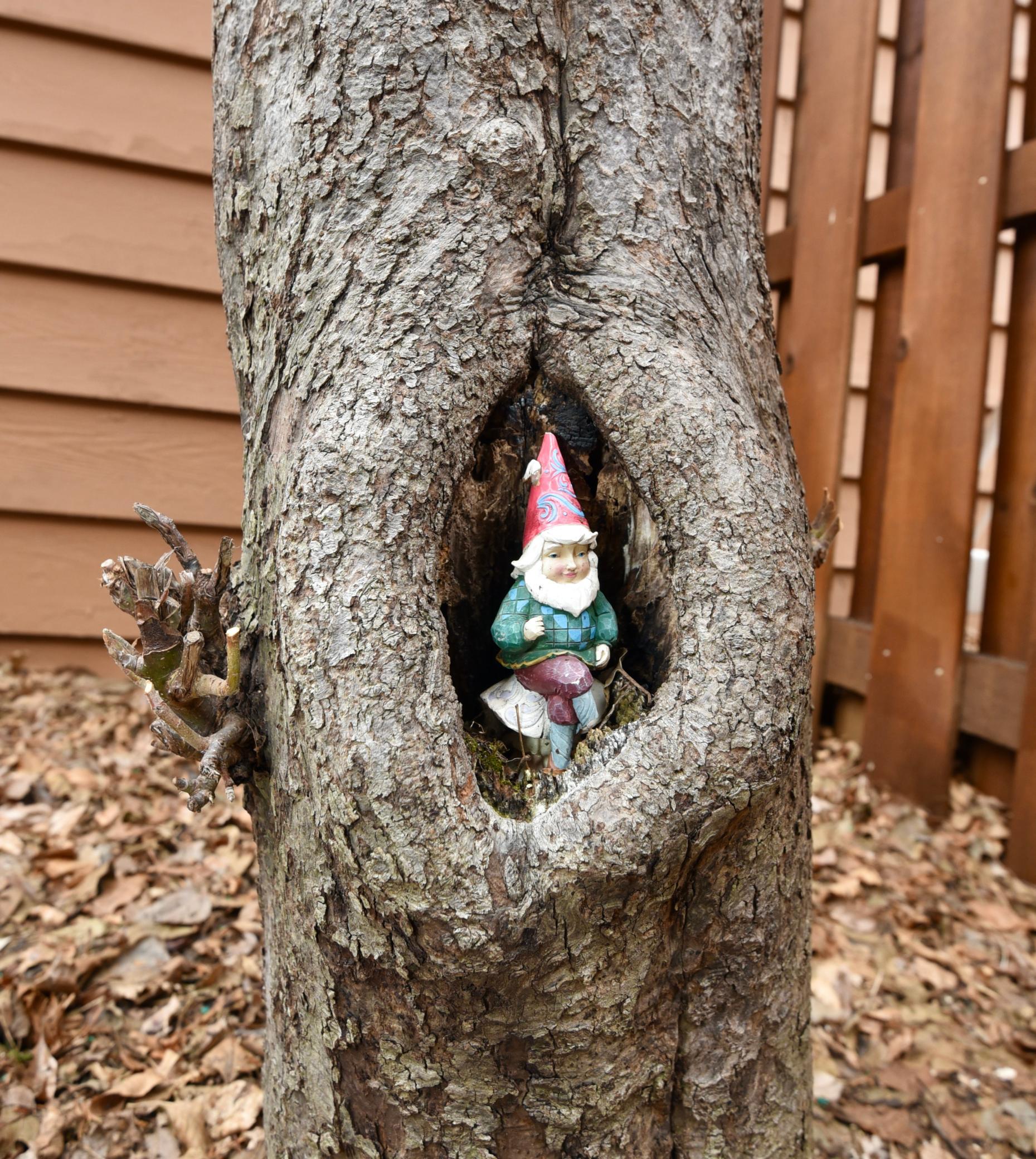 DSC_2897.JPG
