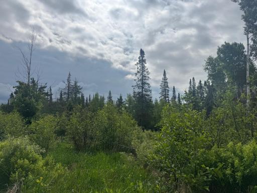 TBD Quaal Road, Forbes, MN 55738
