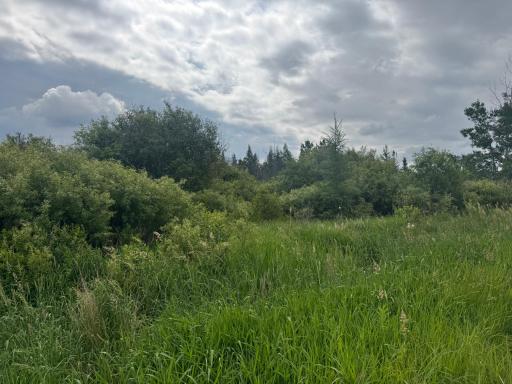 TBD Quaal Road, Forbes, MN 55738