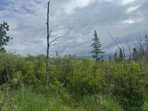 TBD Quaal Road, Forbes, MN 55738