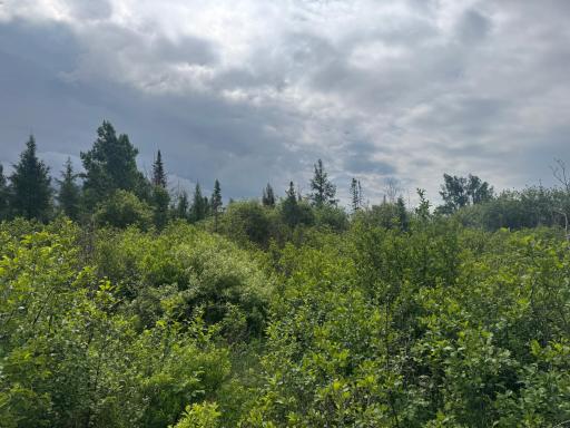 TBD Quaal Road, Forbes, MN 55738