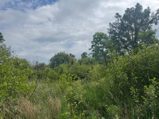 TBD Quaal Road, Forbes, MN 55738