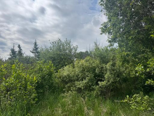 TBD Quaal Road, Forbes, MN 55738