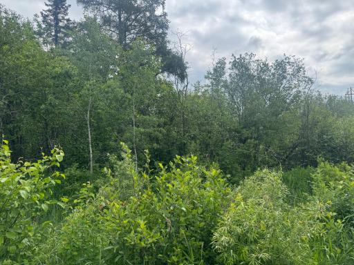 TBD Quaal Road, Forbes, MN 55738