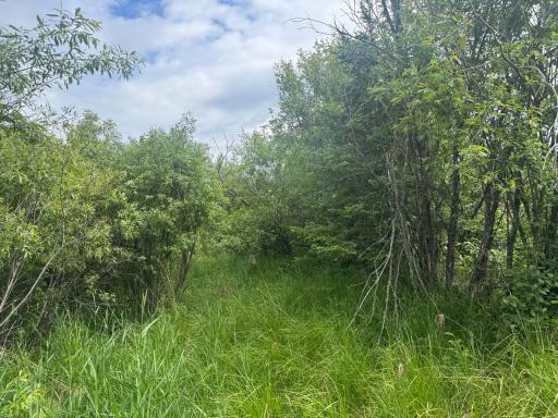 TBD Quaal Road, Forbes, MN 55738