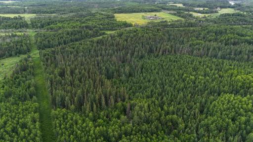 TBD Quaal Road, Forbes, MN 55738