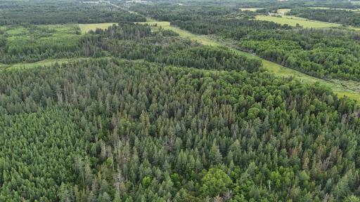 TBD Quaal Road, Forbes, MN 55738
