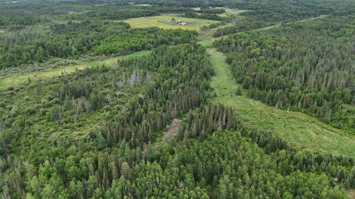 TBD Quaal Road, Forbes, MN 55738