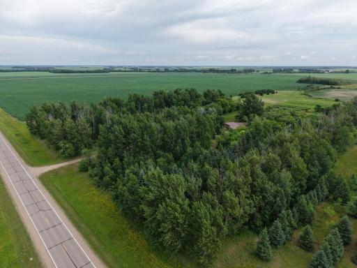 dji-fly-20260706-135726-0056-1783366953653-photo.JPG