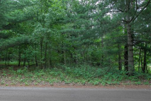 37306 Fjeldheim Road NE, Stanchfield, MN 55080