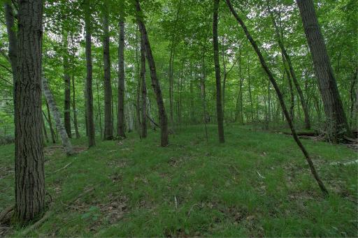 37306 Fjeldheim Road NE, Stanchfield, MN 55080