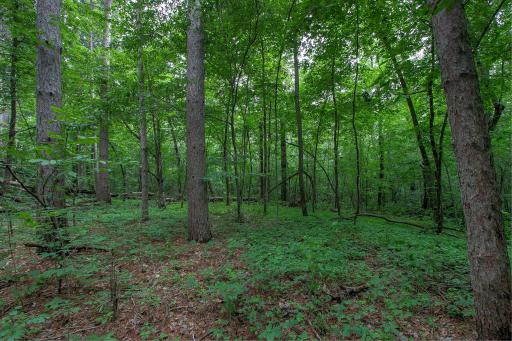37306 Fjeldheim Road NE, Stanchfield, MN 55080