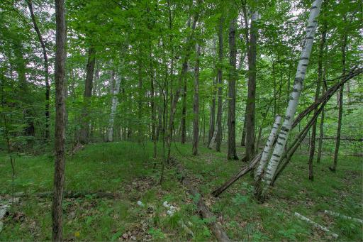 37306 Fjeldheim Road NE, Stanchfield, MN 55080