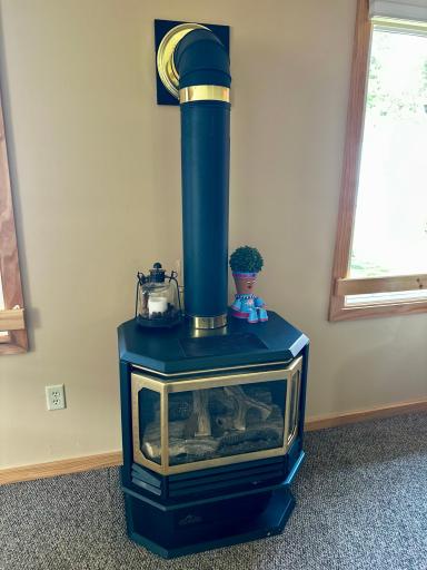 20528 S Lakeshore Drive, Glenwood, MN 56334