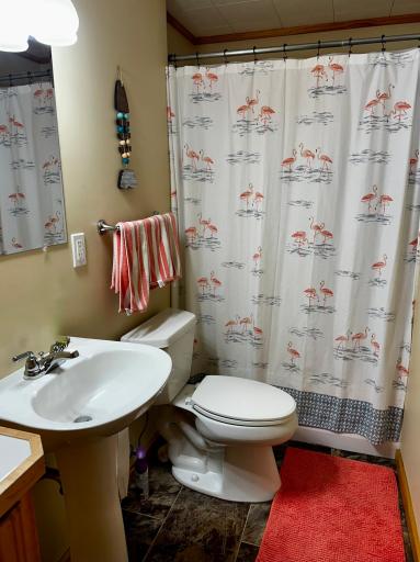 20528 S Lakeshore Drive, Glenwood, MN 56334