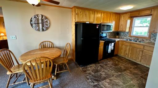 20528 S Lakeshore Drive, Glenwood, MN 56334