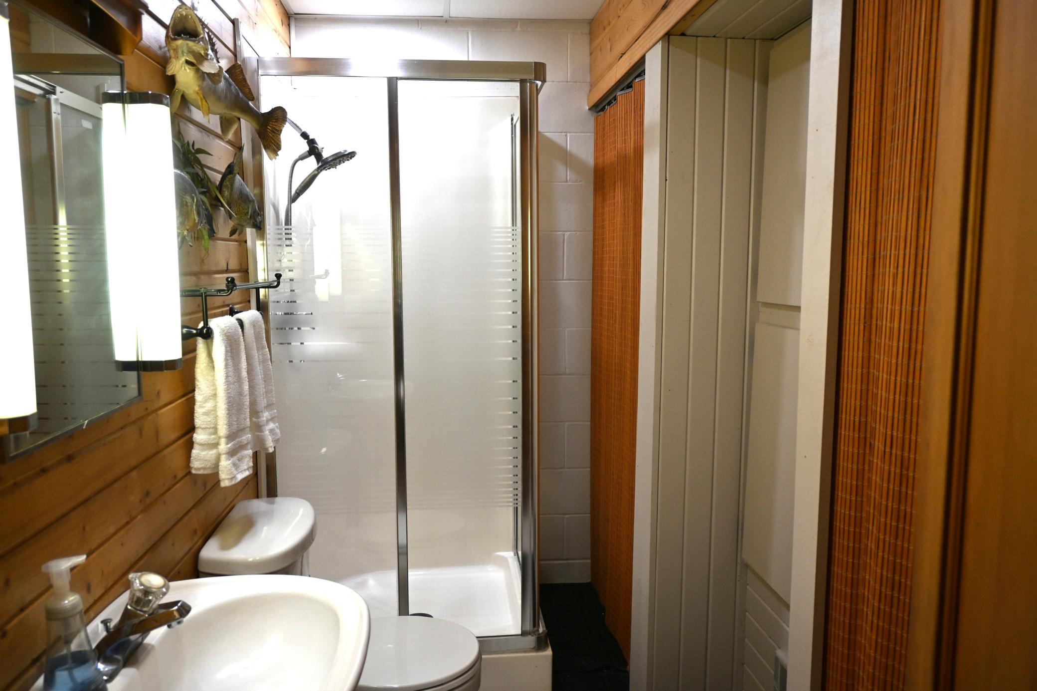 Lower level bathroom.JPG