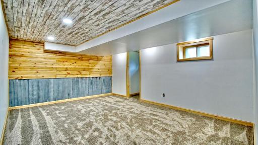 Family room on lower level with new carpet and new ceiling, both updated in 2026.