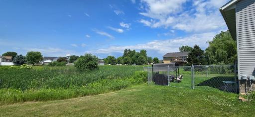 Check out all the Privacy in the backyard!
