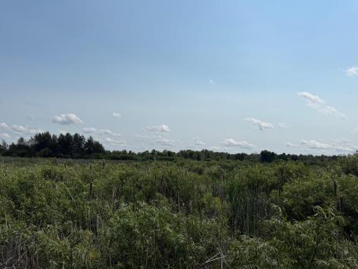 TBD Bunny Hill Road, Sebeka, MN 56477
