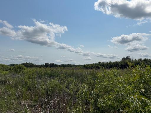 TBD Bunny Hill Road, Sebeka, MN 56477