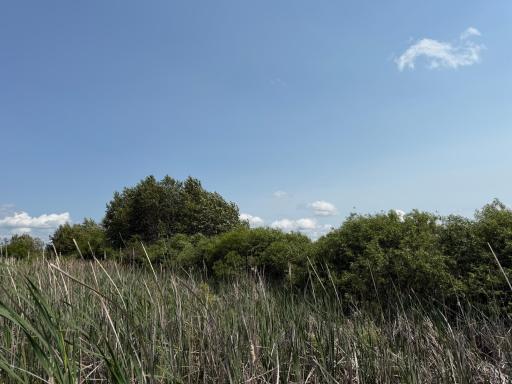 TBD Bunny Hill Road, Sebeka, MN 56477