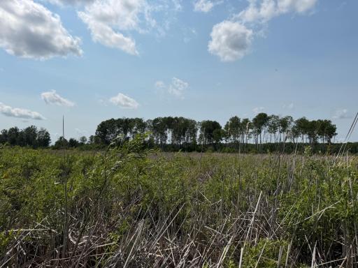 TBD Bunny Hill Road, Sebeka, MN 56477