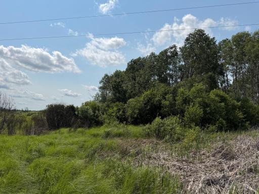 TBD Bunny Hill Road, Sebeka, MN 56477