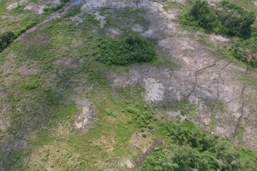 dji_fly_20260701_152502_18_1782937778332_photo.jpg