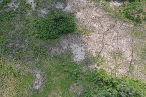 dji_fly_20260701_152508_19_1782937776011_photo.jpg