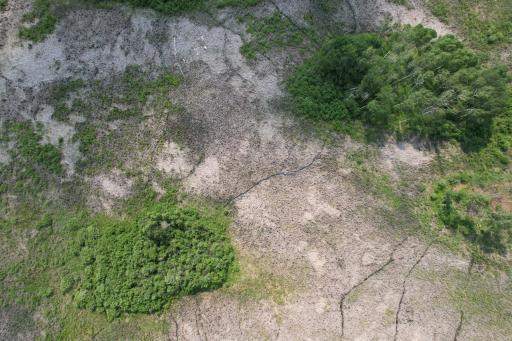dji_fly_20260701_152530_20_1782937773671_photo.jpg