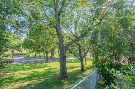 Backyard View 2 - Looking towards Wilson Park