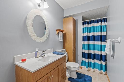 1585 Chartreux Avenue, Shakopee, MN 55379