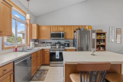 1585 Chartreux Avenue, Shakopee, MN 55379