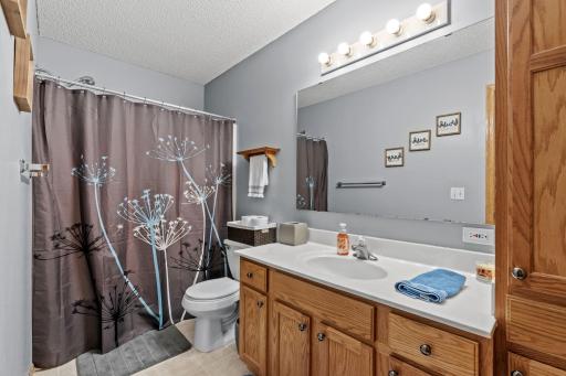1585 Chartreux Avenue, Shakopee, MN 55379