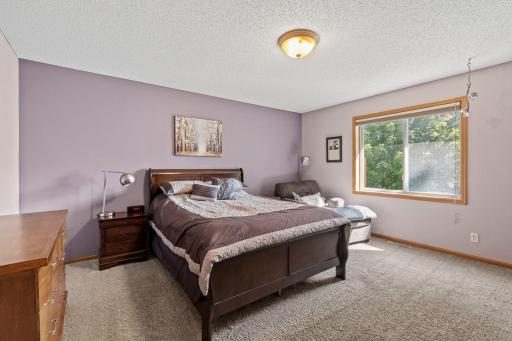 1585 Chartreux Avenue, Shakopee, MN 55379