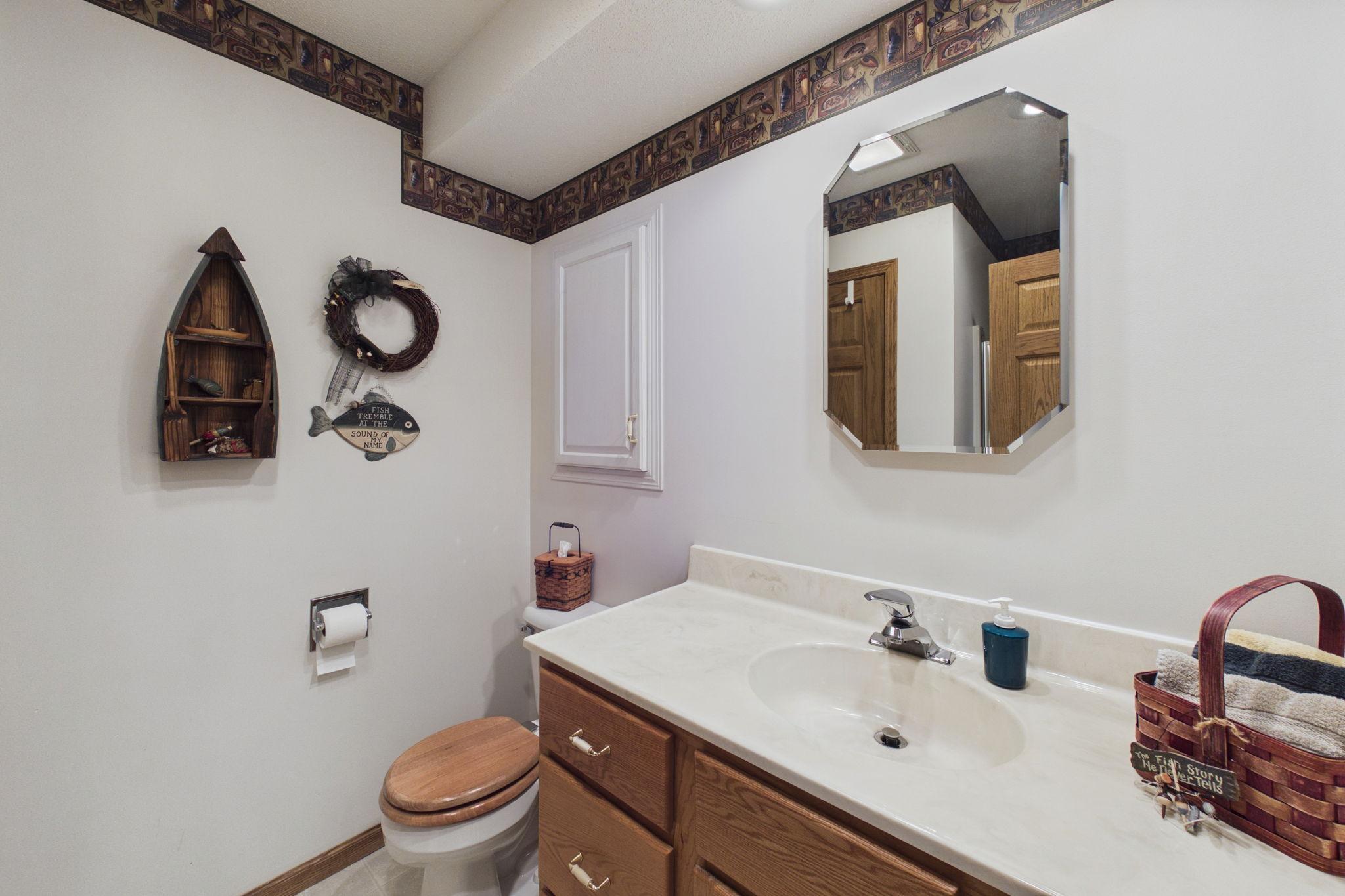 Lower Level Bathroom