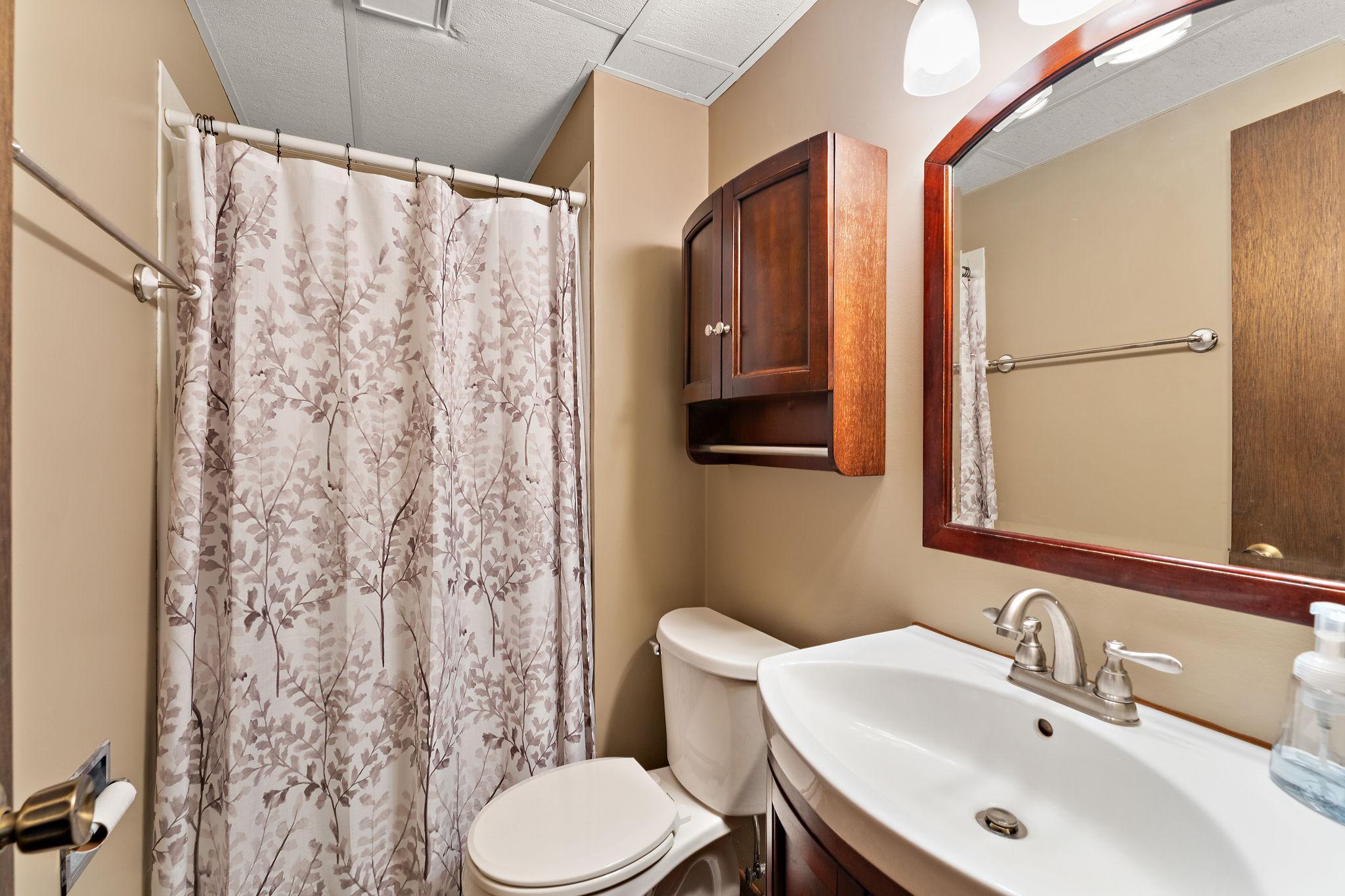 Lower level 3/4 bath