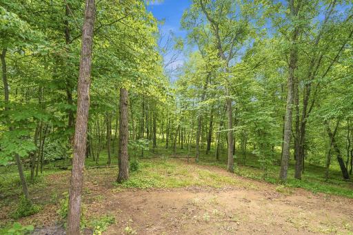 Overlooks spacious backyard with towering elm, birch and oak trees.