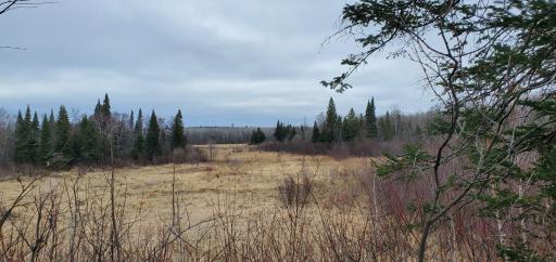 38953 Ada Beach Road, Waubun, MN 56589