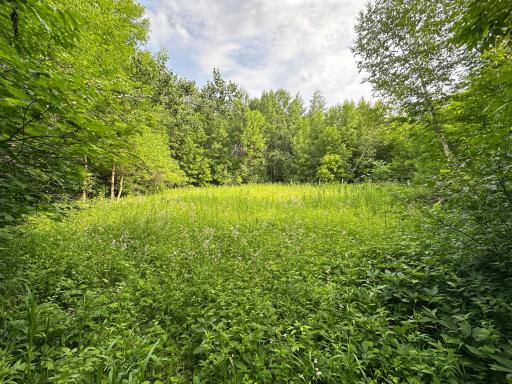 38953 Ada Beach Road, Waubun, MN 56589