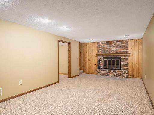 Lower Level Family Room w/ Wood Burning Fireplace