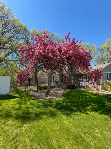 5801 114th Avenue N, Champlin, MN 55316