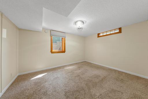 Lower level bedroom