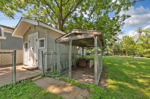 10_dog kennel in fenced in area.jpg