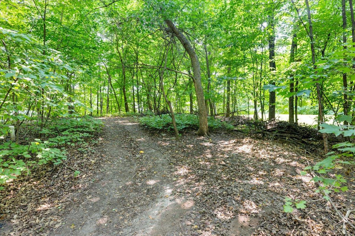 Upper area of back lot