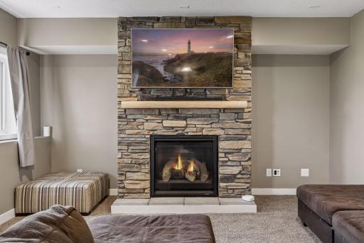 1173 Rosemary Lane, Chaska, MN 55318